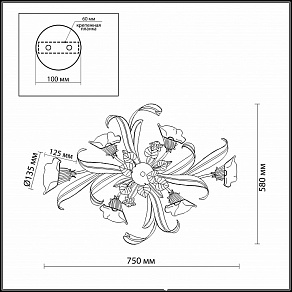 Потолочная люстра Odeon Light Tale 2052/6C