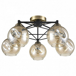 Потолочная люстра Vele Luce Furia VL1882L05