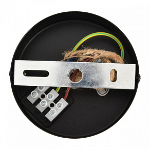 Подвесной светильник Lumion ECO 8366/1A