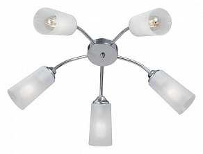 Потолочная люстра Vitaluce V3758 V3758-9/5PL