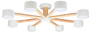 Потолочная люстра Arte Lamp TENDA A1624PL-8WH