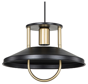 Подвесной светильник TopLight Magdalen TL1659H-01BK