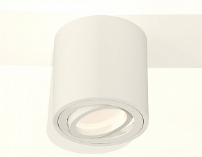 Накладной светильник Ambrella XS XS7531001