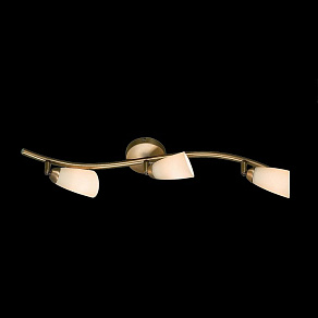 Спот Citilux Белла CL501533