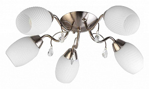 Потолочная люстра TopLight Paula TL3550X-05SN