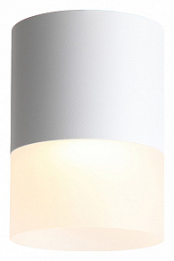 Накладной светильник ST-Luce Ottu ST100.502.15