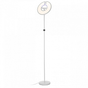 Торшер Citilux LOONG CL810030