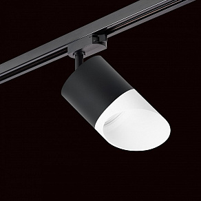 Светильник на штанге Lightstar Rullo R1T348786