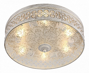 Накладной светильник ST-Luce SL240 SL240.502.06