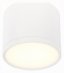 Накладной светильник ST-Luce Rene ST113.532.09