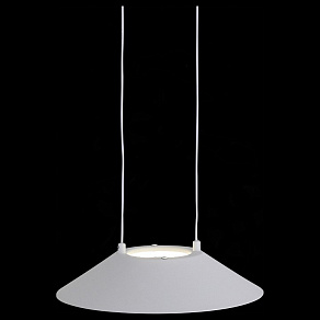 Подвесной светильник ST-Luce Pitto SL427.503.01