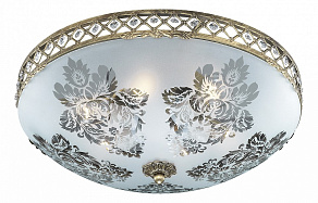 Накладной светильник Odeon Light Aspena 2776/6C