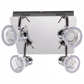 Спот Zumaline Moli CK170205-4