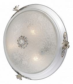 Накладной светильник Odeon Light Bone 2692/3C
