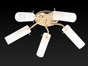 Потолочная люстра TopLight Brittany TL7130X-05FG