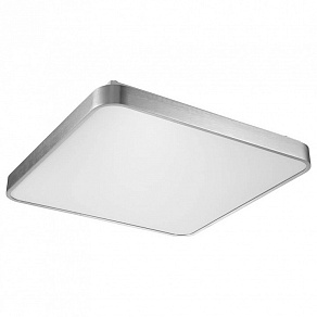 Накладной светильник Zumaline Sierra 12100005-SL