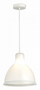 Подвесной светильник EVOLUCE Bacchi SLE114703-01