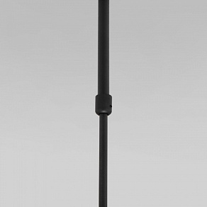 Светильник на штанге Eurosvet Pacific 50255/1 черный