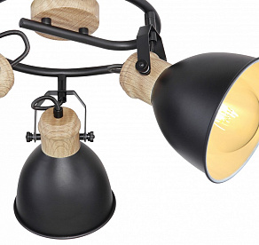 Спот Globo Wiho 54018-3S