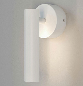 Спот Eurosvet Tint a058317