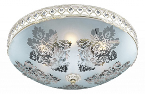 Накладной светильник Odeon Light Aspena 2777/6C