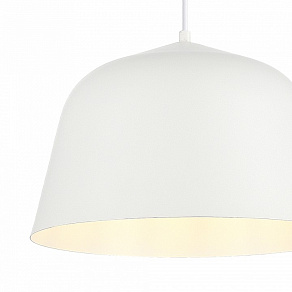 Подвесной светильник EVOLUCE Blank SLE1805-503-01