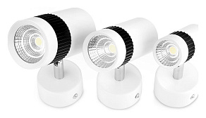 Спот Ambrella Techno Spot TN101/10W WH/BK