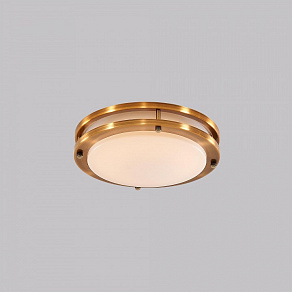 Накладной светильник Citilux Бостон CL709153