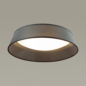 Накладной светильник Odeon Light Sapia 4158/5C