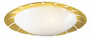 Накладной светильник Odeon Light Zita 2753/3C