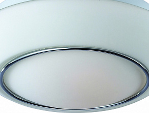 Накладной светильник ST-Luce Bagno SL497.502.03