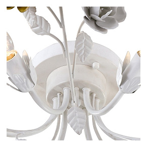 Потолочная люстра Arte Lamp Rosarium A1196PL-6WG