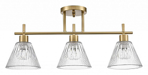 Светильник на штанге Lumion Vivian 8188/3C