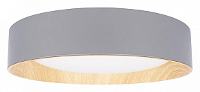 Накладной светильник Loft it Coin 10202 Grey