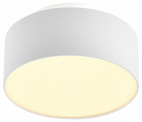 Накладной светильник ST-Luce ST166 ST166.542.17