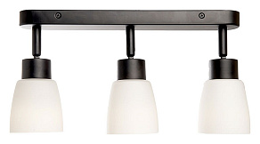 Спот Feron Barre 41516