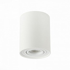 Спот ST-Luce Torus ST108.517.01