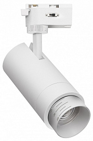 Светильник на штанге Favourite Practica 4868-1U