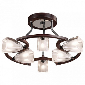 Люстра на штанге Odeon Light Sai 2238/6