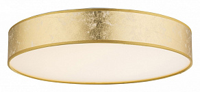 Накладной светильник Globo Paco 15187D2