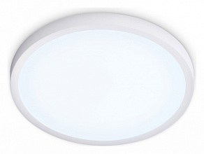 Накладной светильник Ambrella Light FZ FZ1951