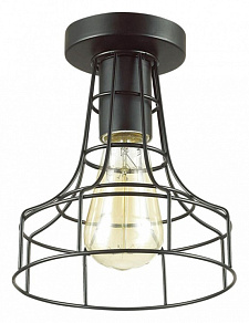 Накладной светильник Lumion Alfred 3639/1C