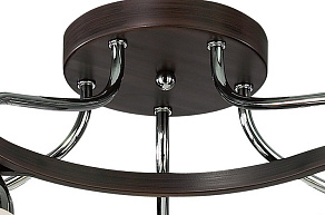 Потолочная люстра Odeon Light Iwo 2237/5С