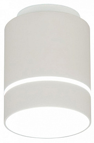 Накладной светильник Citilux Борн CL745010N