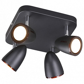 Спот Odeon Light Reanna 3824/4C