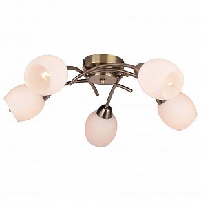 Потолочная люстра TopLight Merry TL3780X-05AB