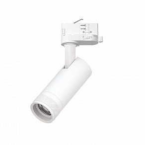 Светильник на штанге Lightstar Canno Pro C4126QT