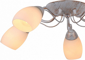 Потолочная люстра Arte Lamp Carlo A8105PL-5WG