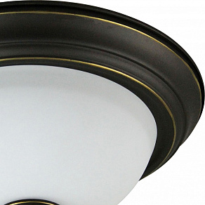Накладной светильник Arte Lamp Bonito A9518PL-2BA