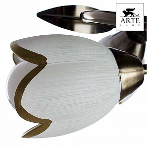 Потолочная люстра Arte Lamp Perce A6061PL-4AB
